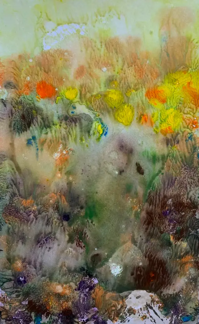 Nature (III)