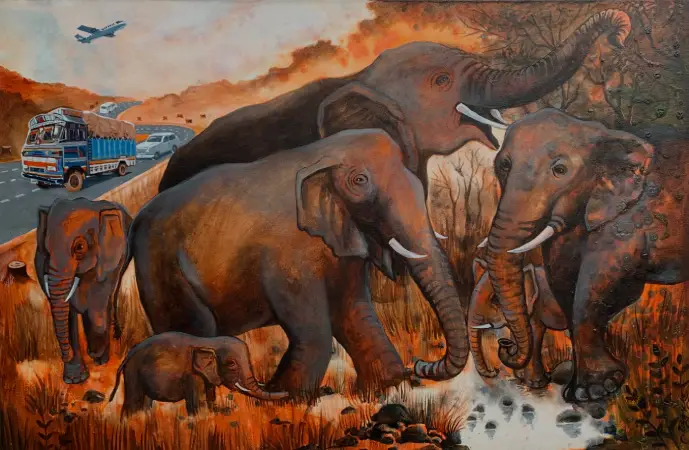 Migration of Wildlife